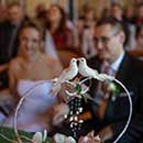 Trauung in Pößneck. Das Brautpaar in Unschärfe hinter zwei Täubchen