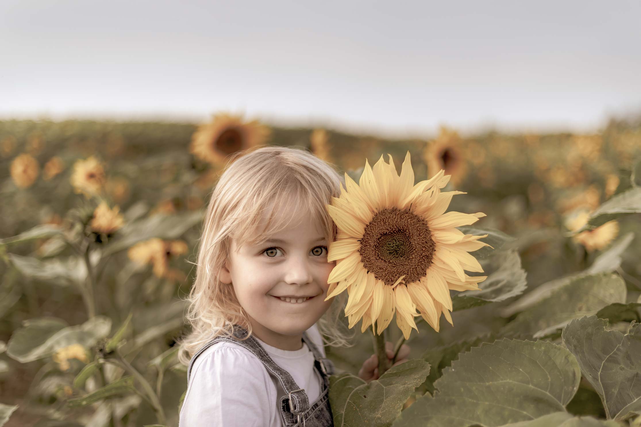 Familienbilder, Kinder- und Babyfotos, Familienfeiern, Geschwisterbilder